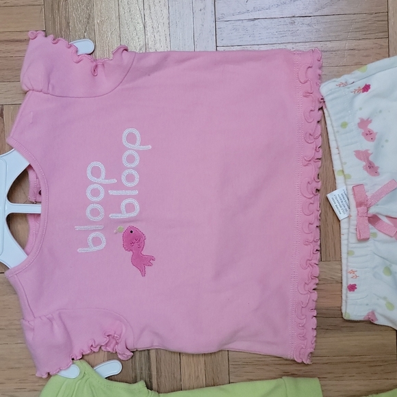 Gymboree lot of 2 Matching shirt & pants sets - like new - Picture 2 of 6